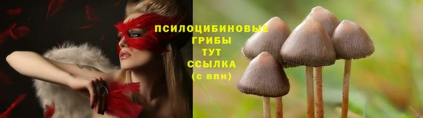 ALPHA-PVP Алексеевка