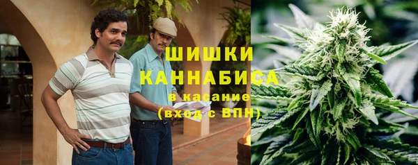 spice Абаза