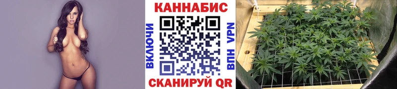 Бошки Шишки MAZAR Харабали